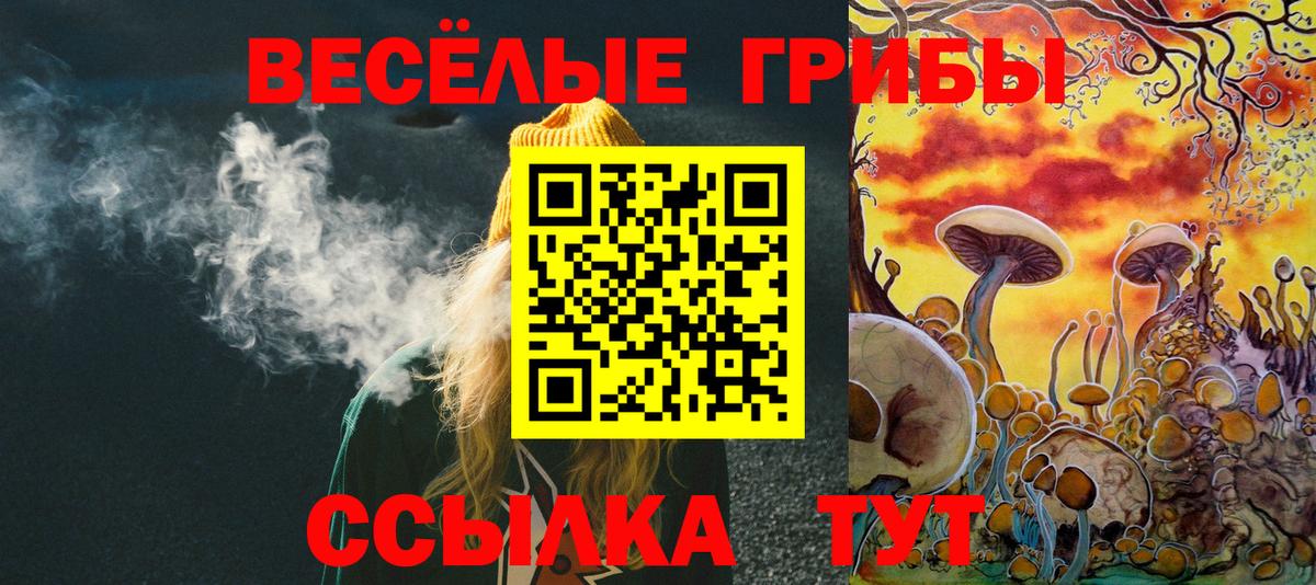 Мытищи  Псилоцибиновые грибы мицелий  Вход с VPN  Псилоцибиновые грибы Psilocybe 